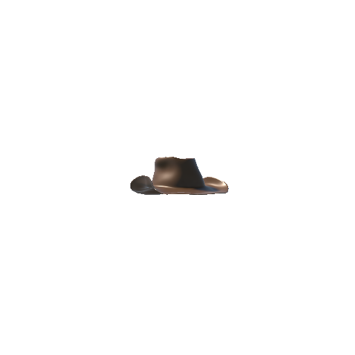 hat4